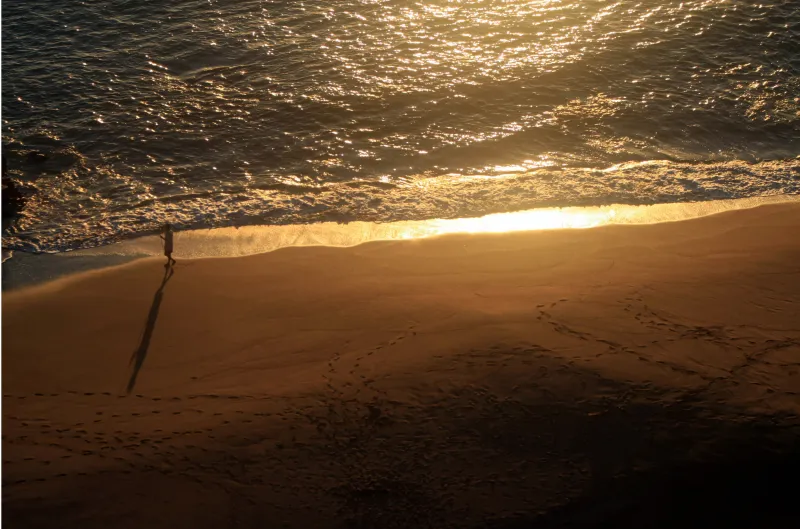 Sunset light glowing between shimmering water and wet sand
