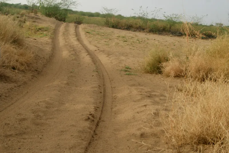 Two wheel tracks of a dirt road through dry grass