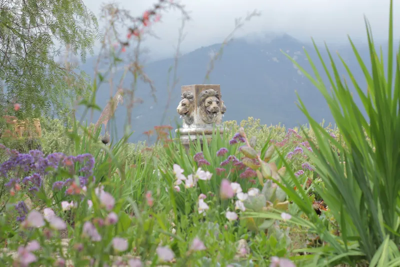 Pink and purple wildflowers in front of a stone lion-head carving, mountains behind