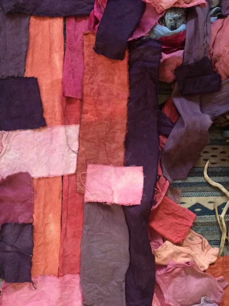INDIGO &amp; SOCIAL JUSTICE CURRICULUM