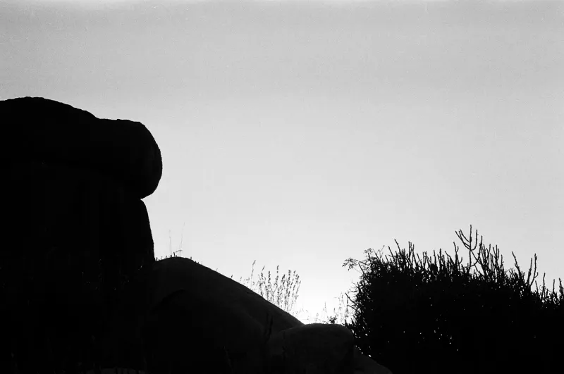 Dark rocks and brush in silhouette against a pale sky, in black and white